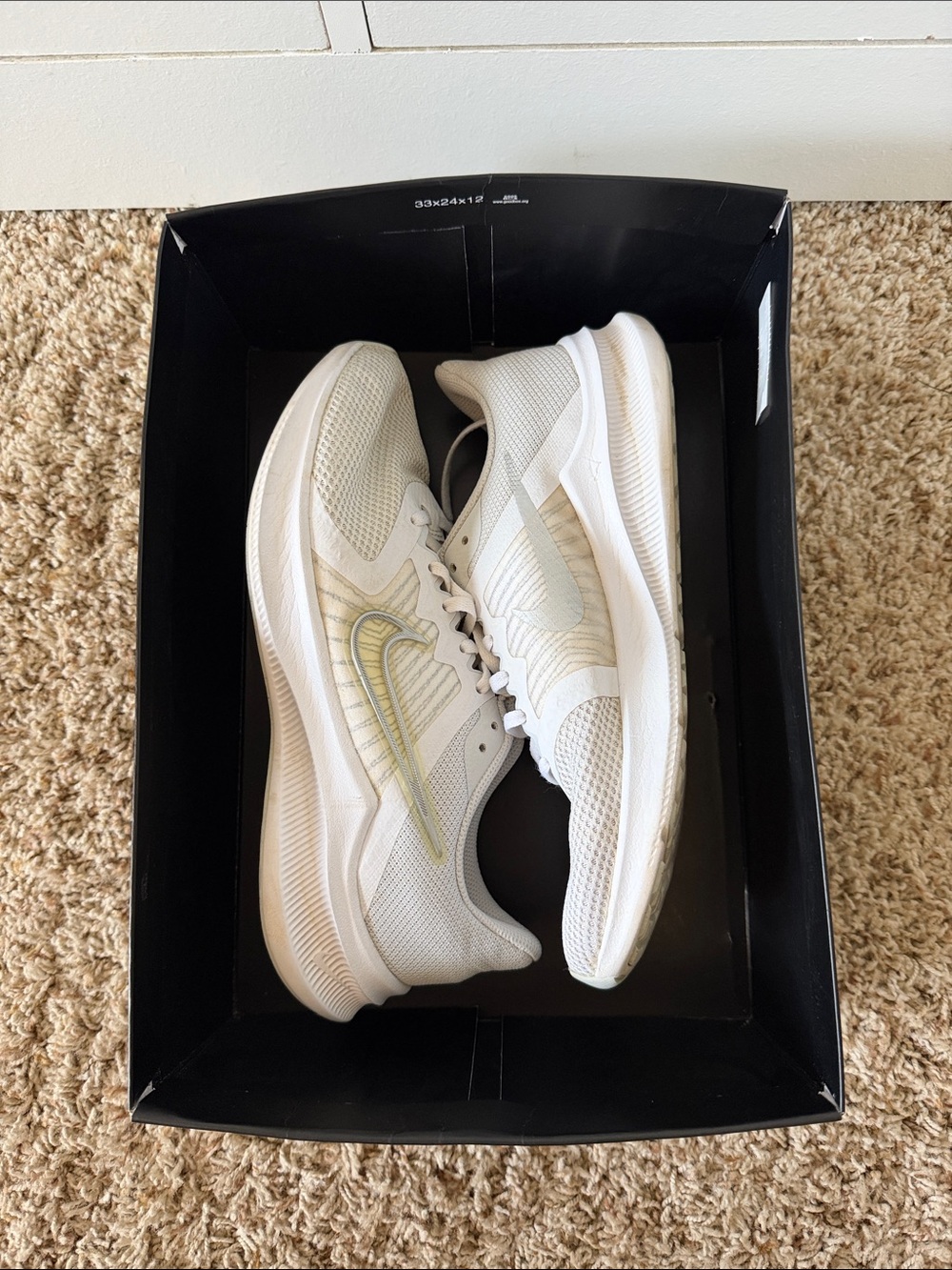 Nike Women’s Downshifter